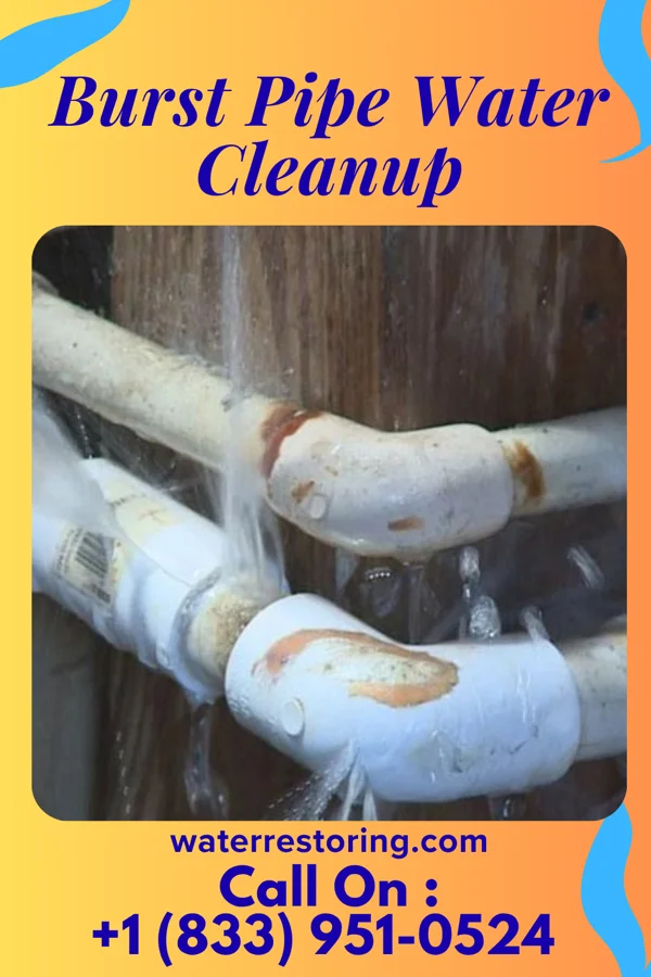 Burst Pipe Water Cleanup in Portland, MI