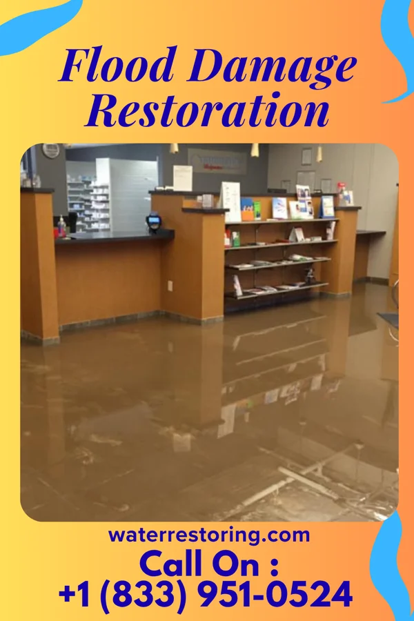 Flood Damage Restoration in Portland, MI