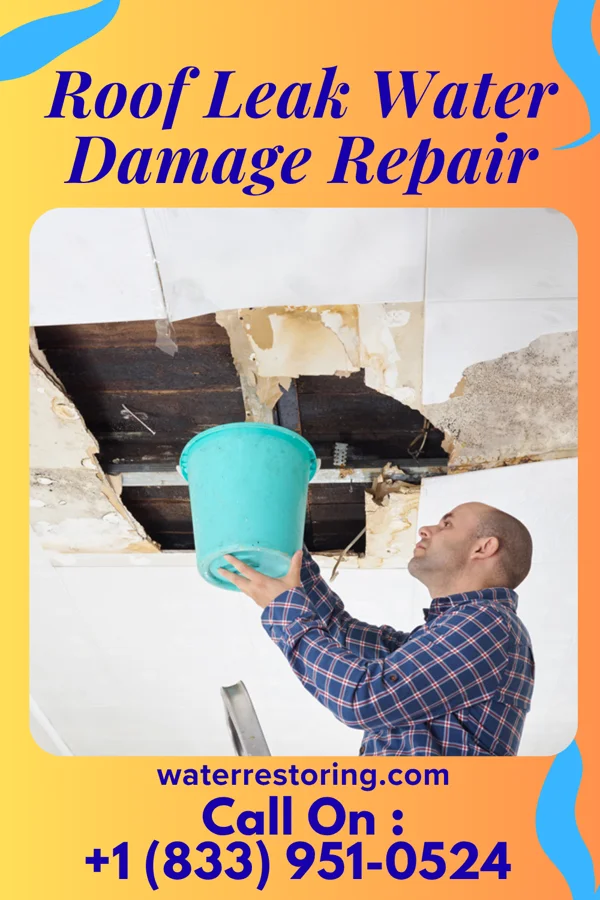 Roof Leak Water Damage Repair in Portland, MI